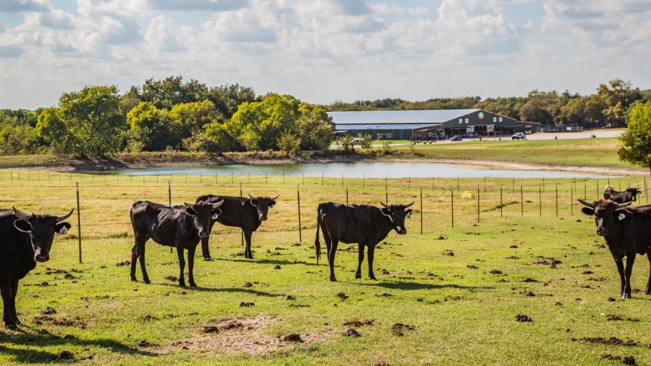 Nrs Event Center & Guest Ranch Hotel Decatur Ngoại thất bức ảnh